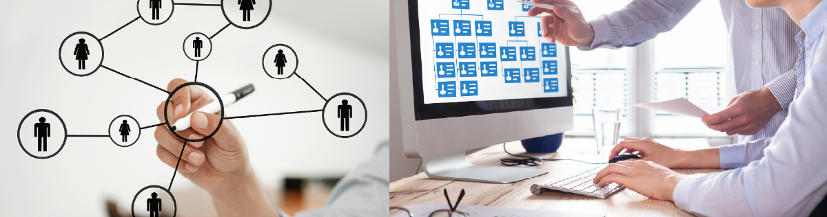 video tutorials and interactive e-learning modules 