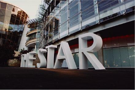 star casino