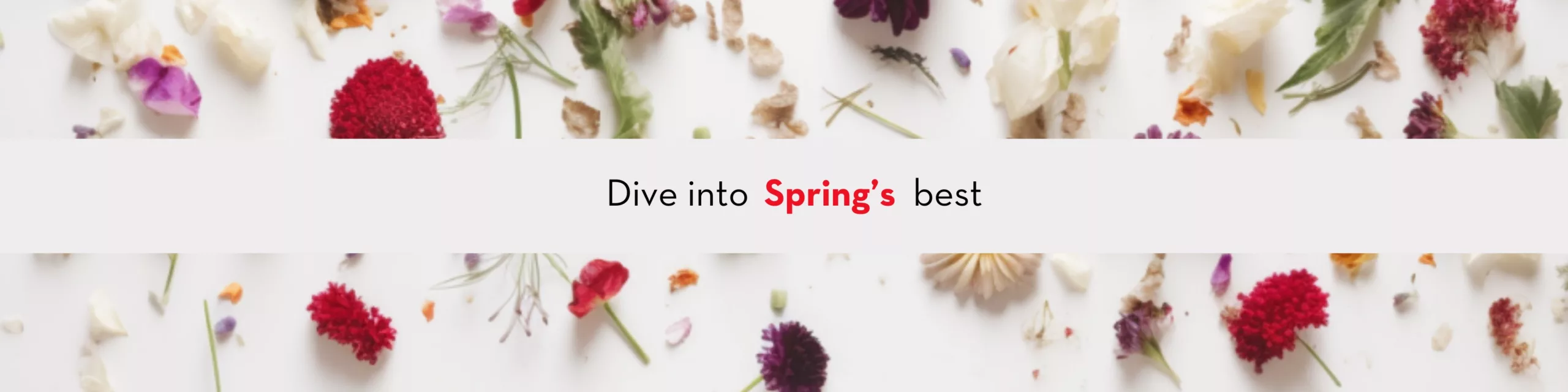 Dive into spring's best
