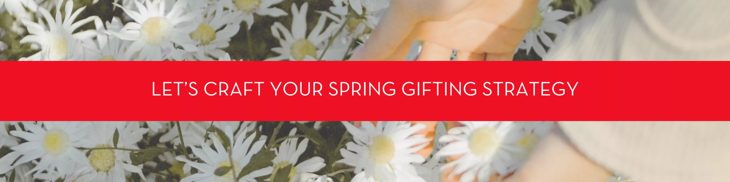 Let's craft your spring gifting strategy