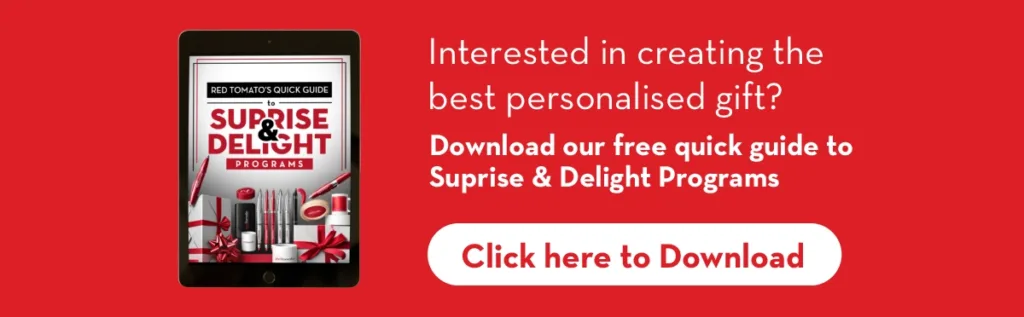 Click here to download surprise and delight programs