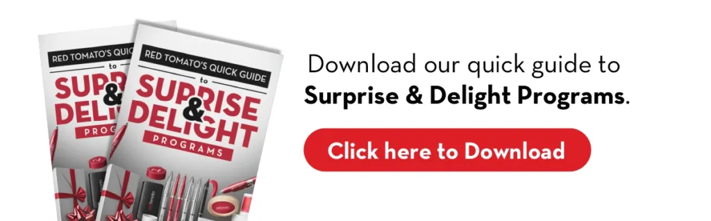 Download our quick guide to surprise & delight programs.
